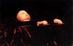 Проголосовать за вынос тела Ленина из Мавзолея можно на сайте «Гудбай, Ленин»